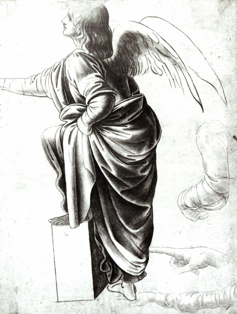 Studie anděla (křída na papíře) od Leonardo da Vinci
