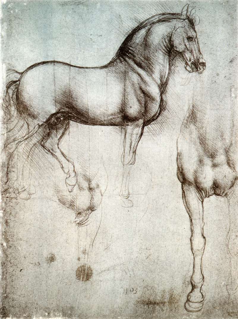 Studium koní od Leonardo da Vinci