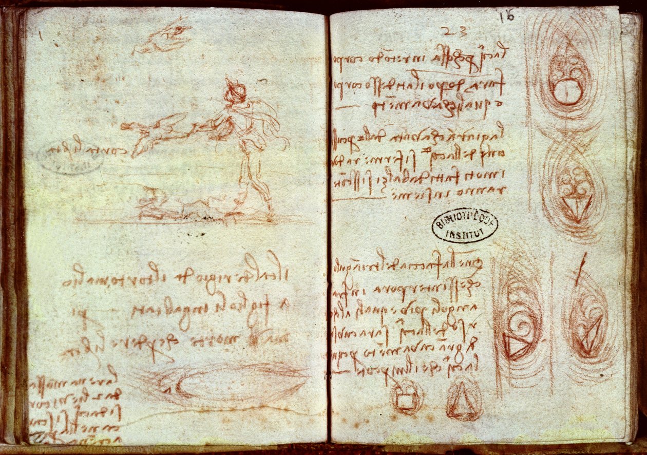 Studie různých aerodynamických kvalit různých forem s nákresem muže a dvou ptáků, paní 7 (hnědá křída na papíře) od Leonardo da Vinci