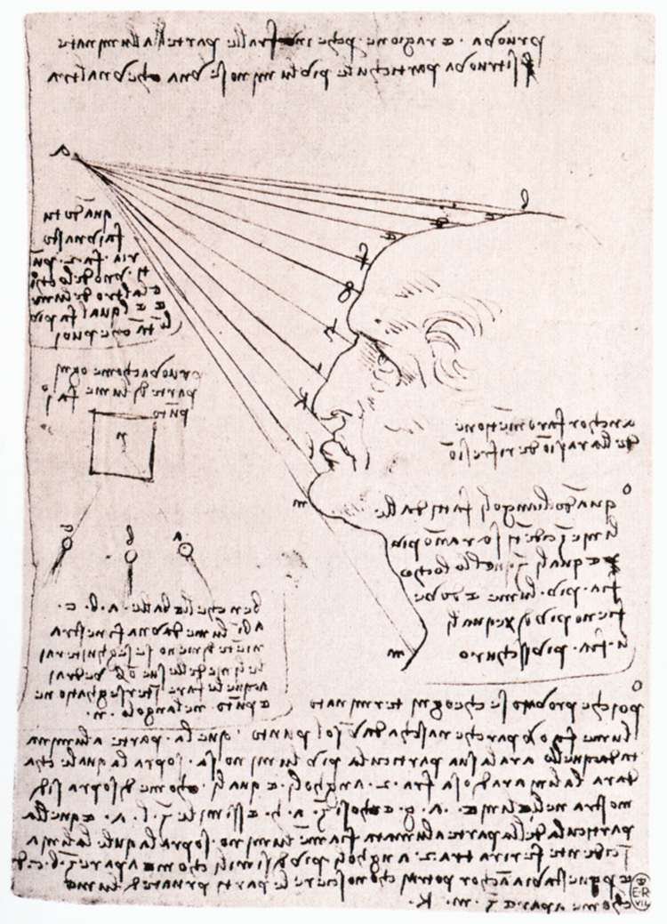 Studium vlivu světla na profilovou hlavu od Leonardo da Vinci