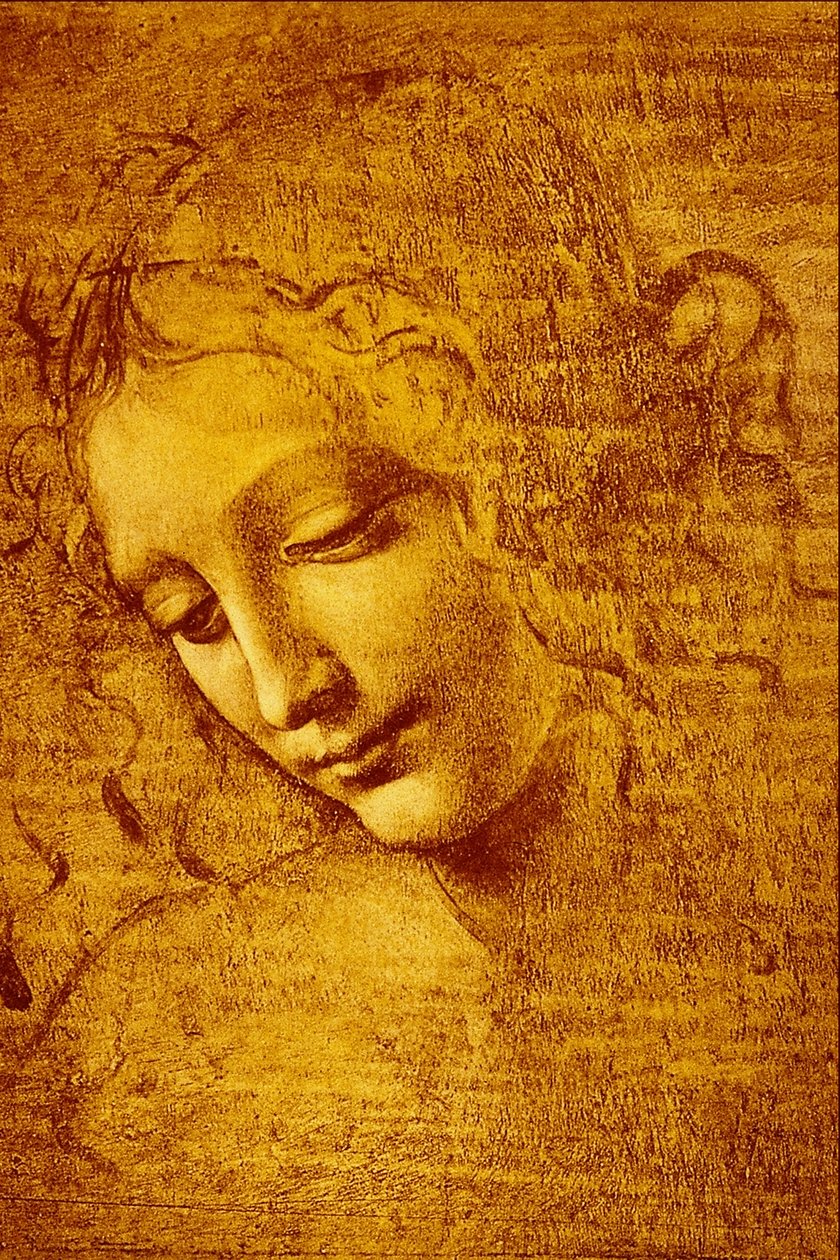 Hlava panny s názvem The ... od Leonardo da Vinci