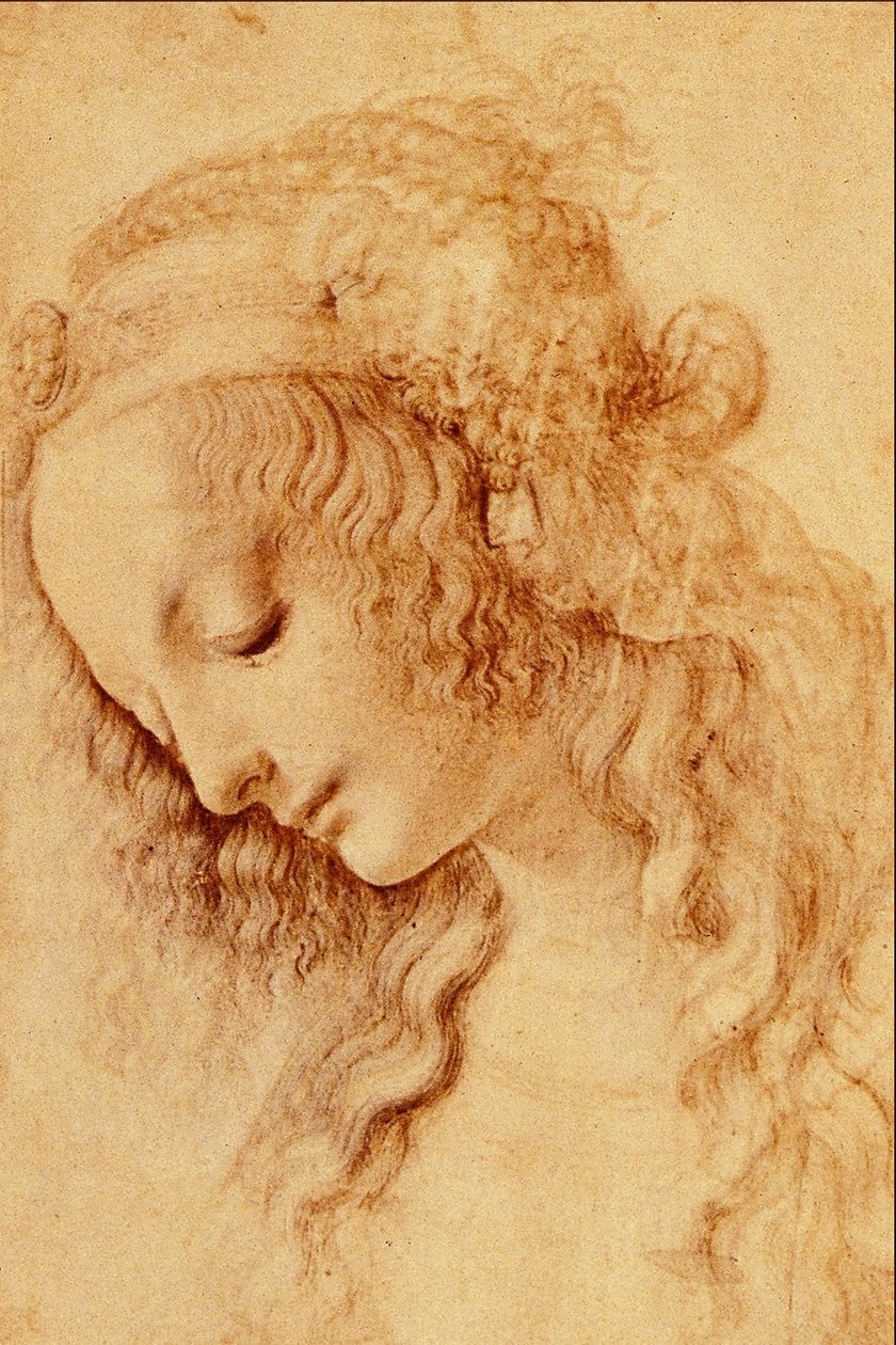 Ženské hlavy z profilu od Leonardo da Vinci