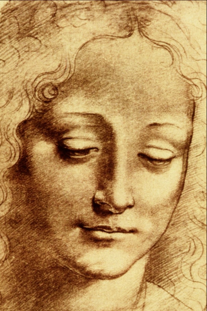Vedoucí mládeže od Leonardo da Vinci