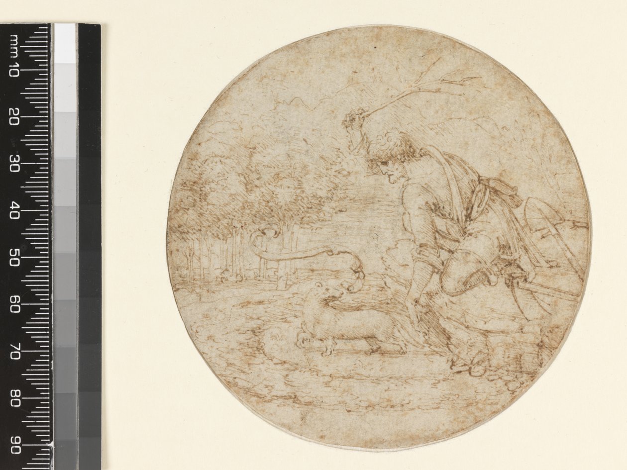 Hermelín jako symbol čistoty, cca 1494 (pero a hnědý inkoust přes černou na papíře) od Leonardo da Vinci