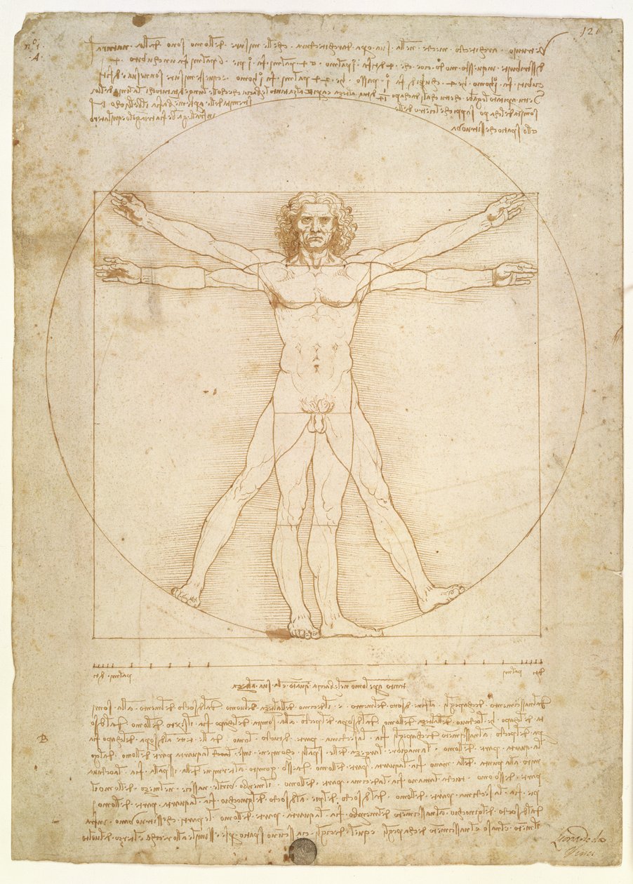Proporce lidské postavy (po Vitruviovi), c.1492 od Leonardo da Vinci