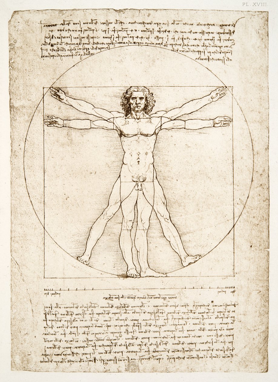 Proporce lidské postavy (po Vitruviovi), kolem roku 1492 (faksimile) od Leonardo da Vinci