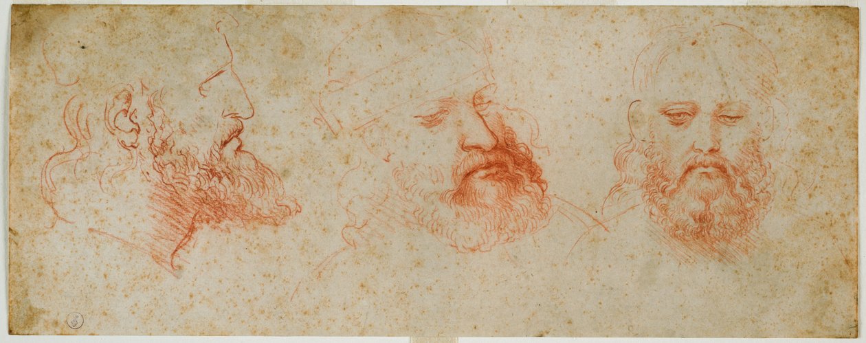 Tři pohledy na mužnou hlavu s plnovousem, c. 1502 (krev na papíře) od Leonardo da Vinci