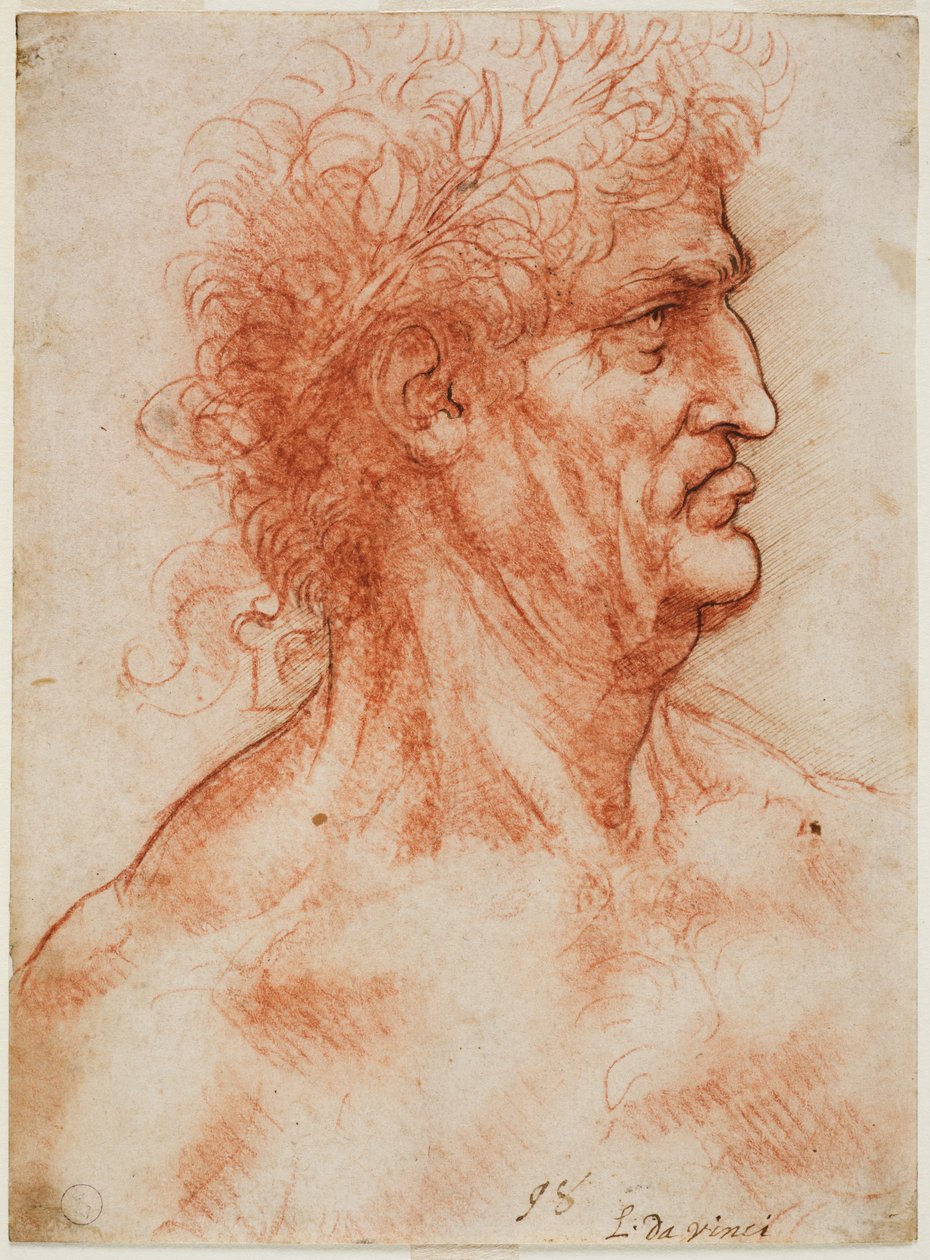 Mužná hlava z profilu korunovaná vavřínem, c. 1506-10 (krev s obrysy překříženými perem na bílém papíře) od Leonardo da Vinci