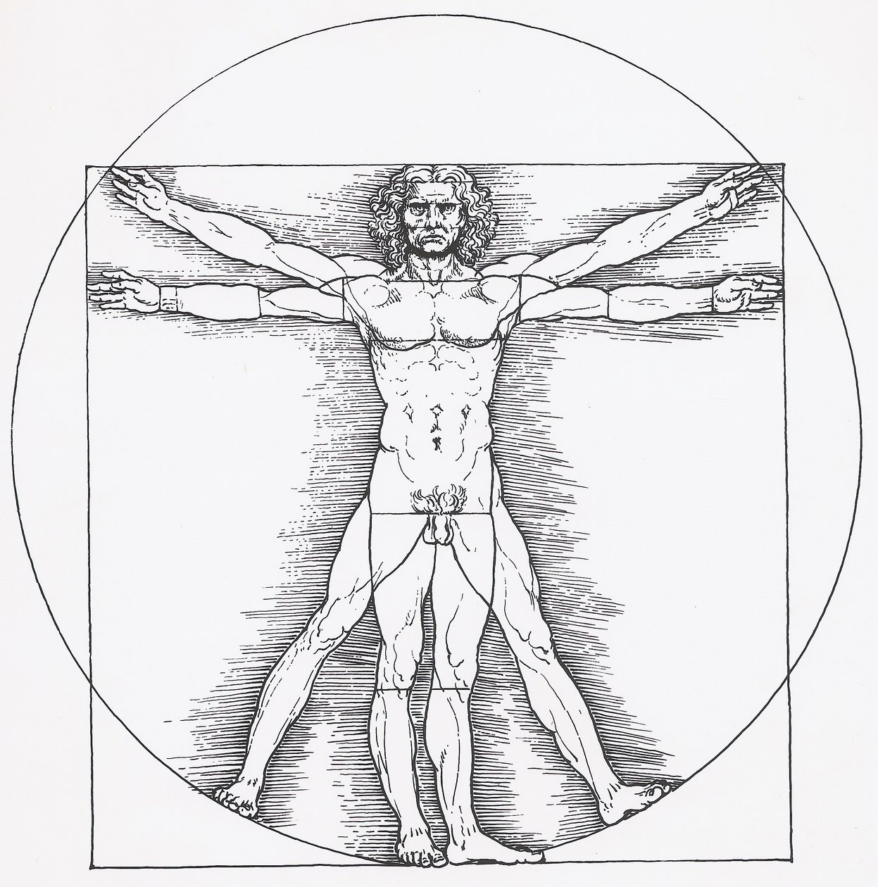 Vitruvianischer Mann od Leonardo da Vinci