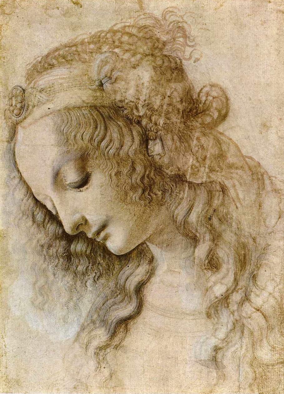 Hlava ženy z profilu od Leonardo da Vinci