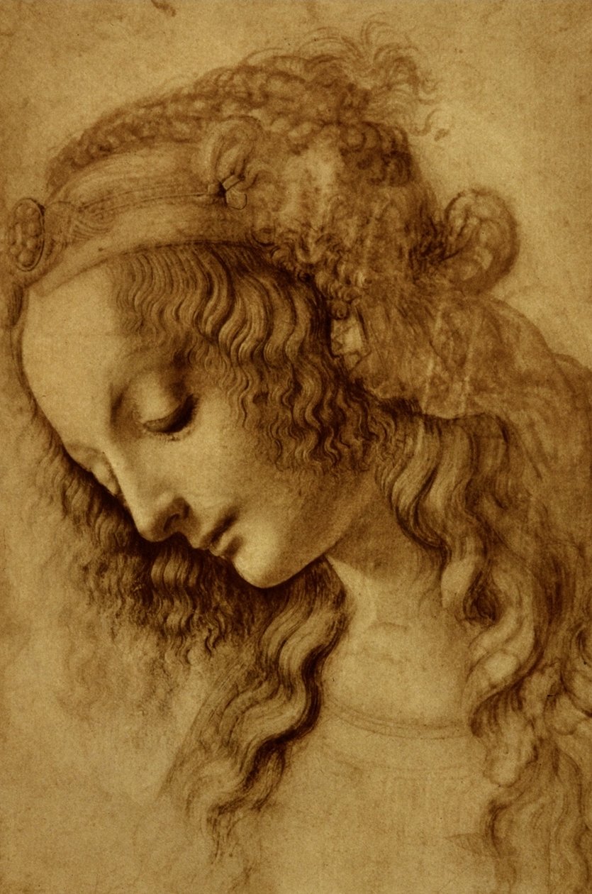Žena v profilu od Leonardo da Vinci