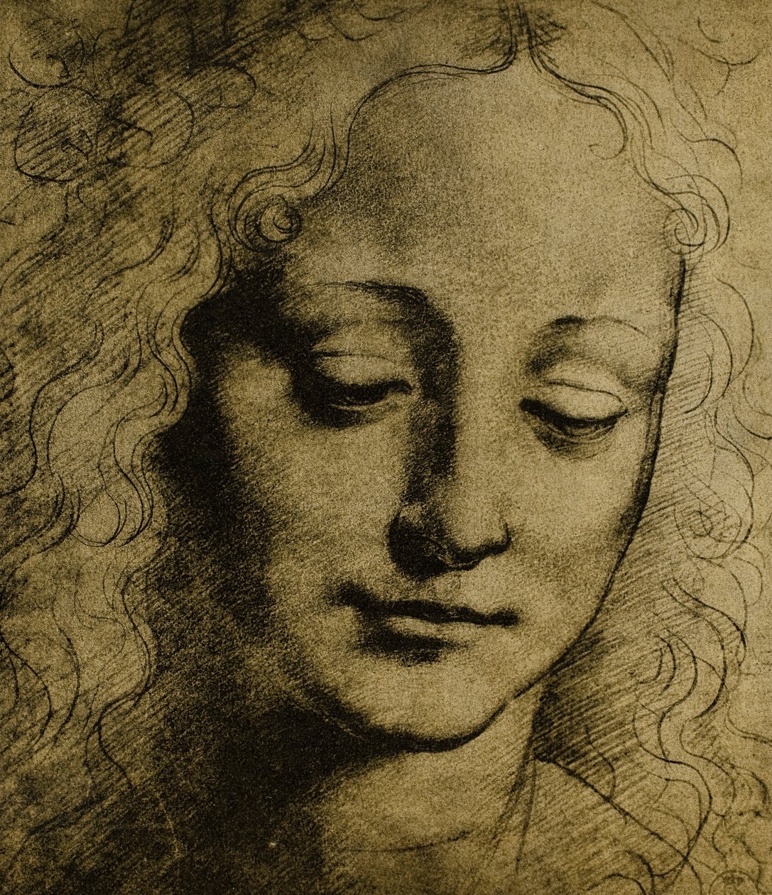 hlava mládeže; kresba Leonarda da Vinciho. Gabinetto dei Disegni e delle Stampe, Galerie Uffizi, Florencie od Leonardo da Vinci