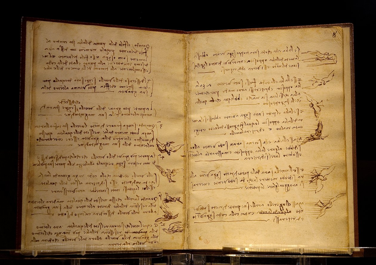 kodex letu ptáků Luc Viatour od Leonardo da Vinci