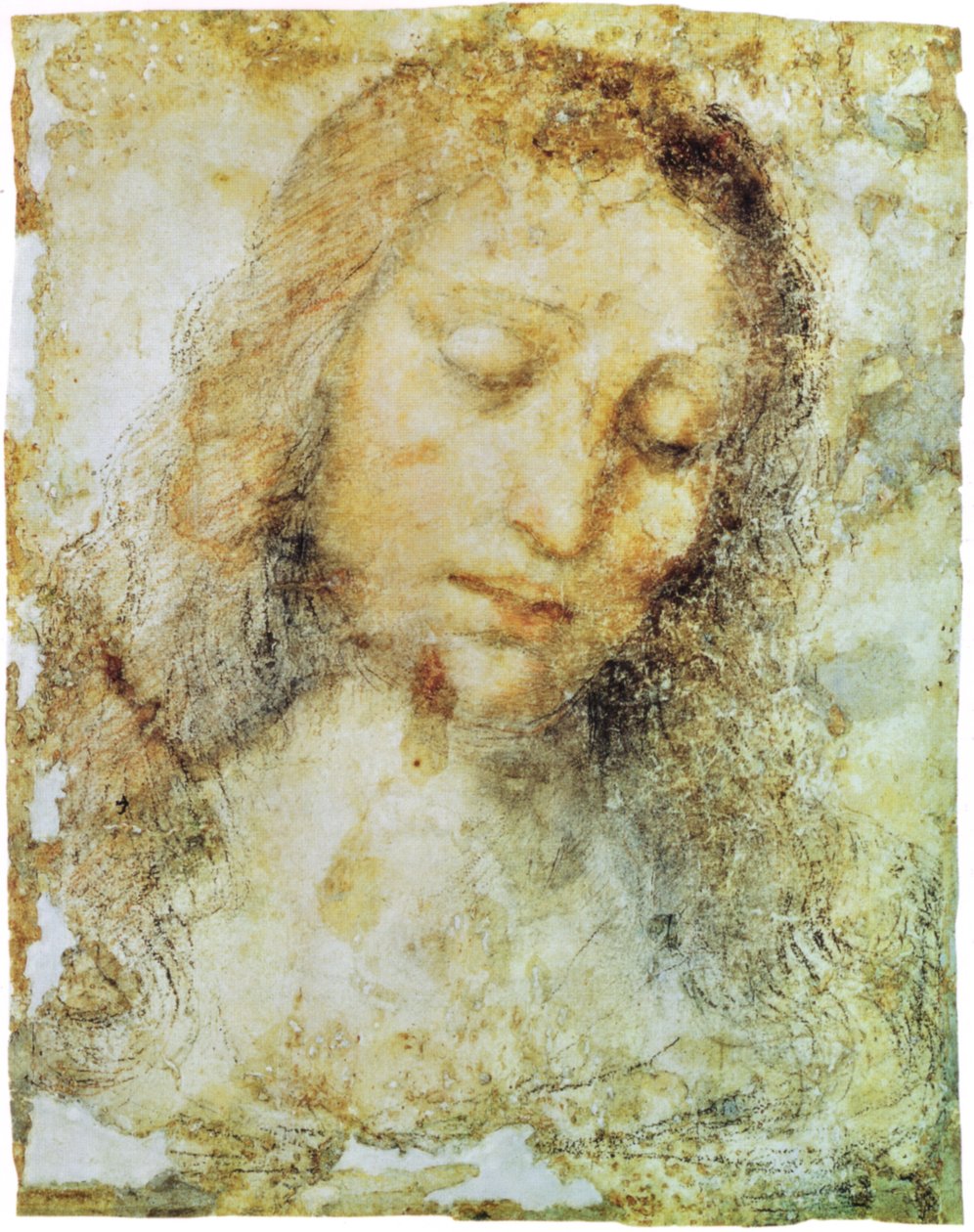 Brera obrazová galerie od Leonardo da Vinci