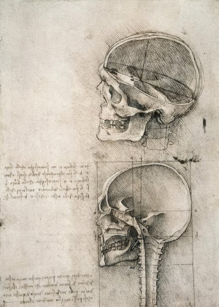zdravý rozum od Leonardo da Vinci