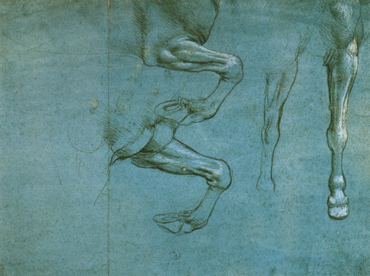 studie předních nohou koně od Leonardo da Vinci