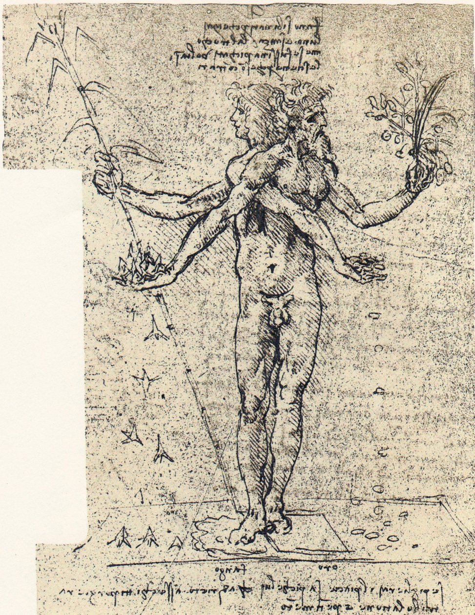 neznámá kresba androgynského korpusu se dvěma hlavami od Leonardo da Vinci
