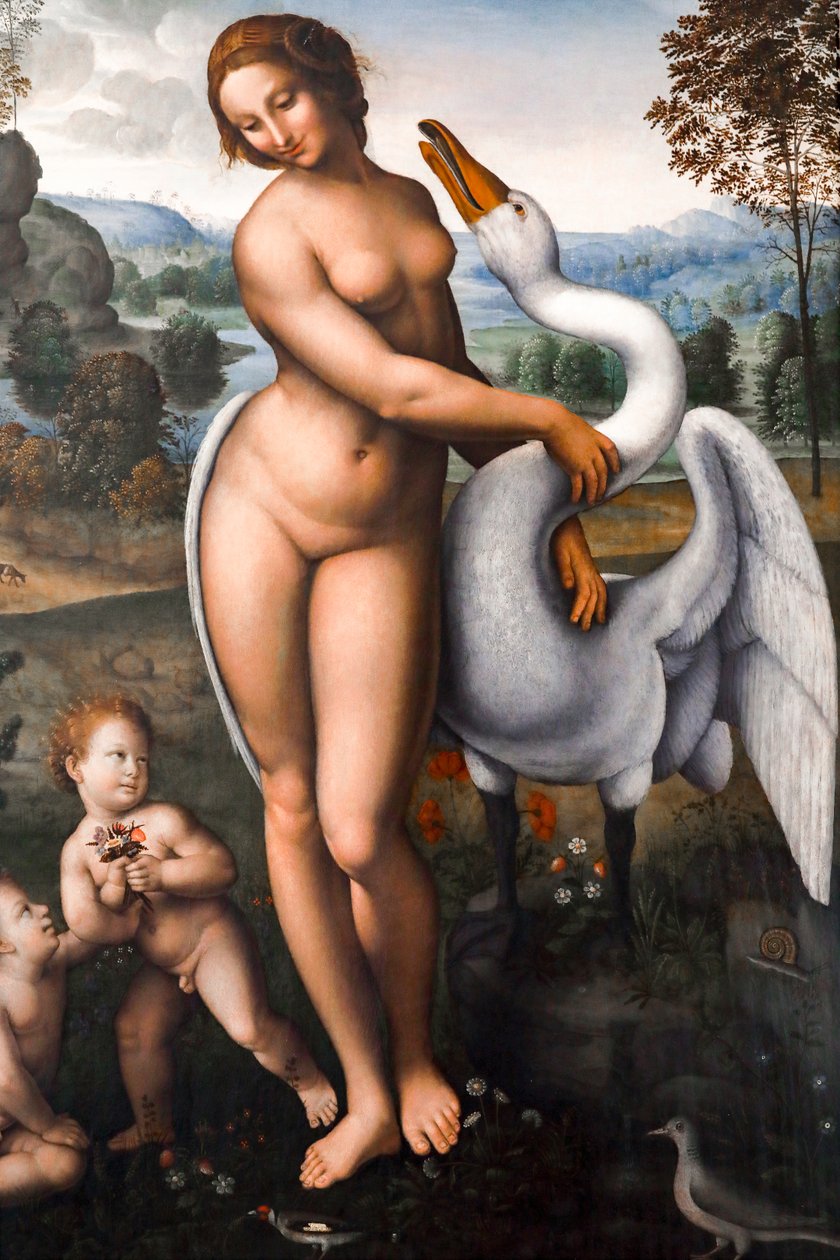 Leda a labuť, Olej na plátně od Leonardo da (after) Vinci