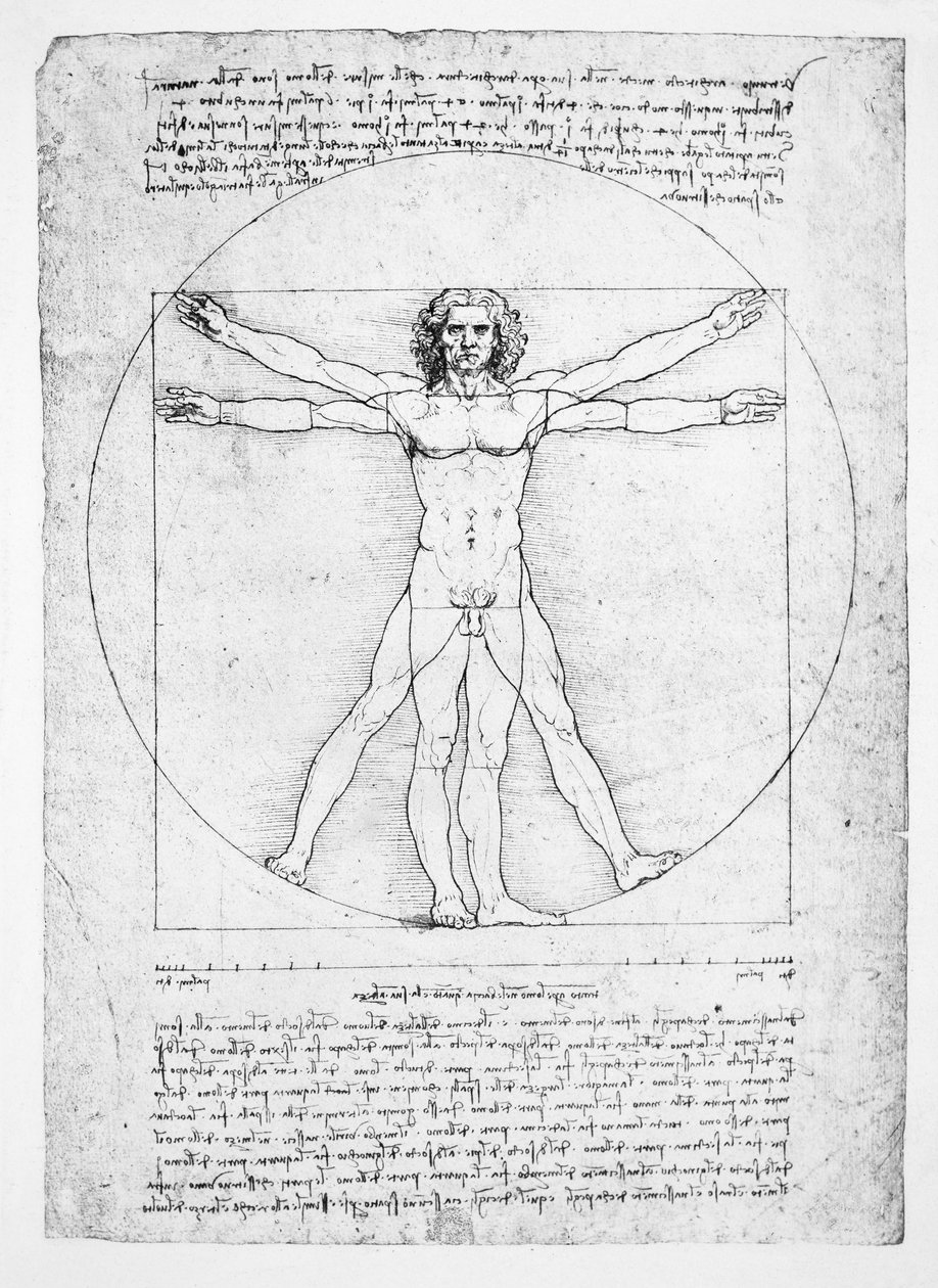 Proporce lidské postavy (po Vitruviovi), kolem roku 1492 (faksimile) od Leonardo da (after) Vinci