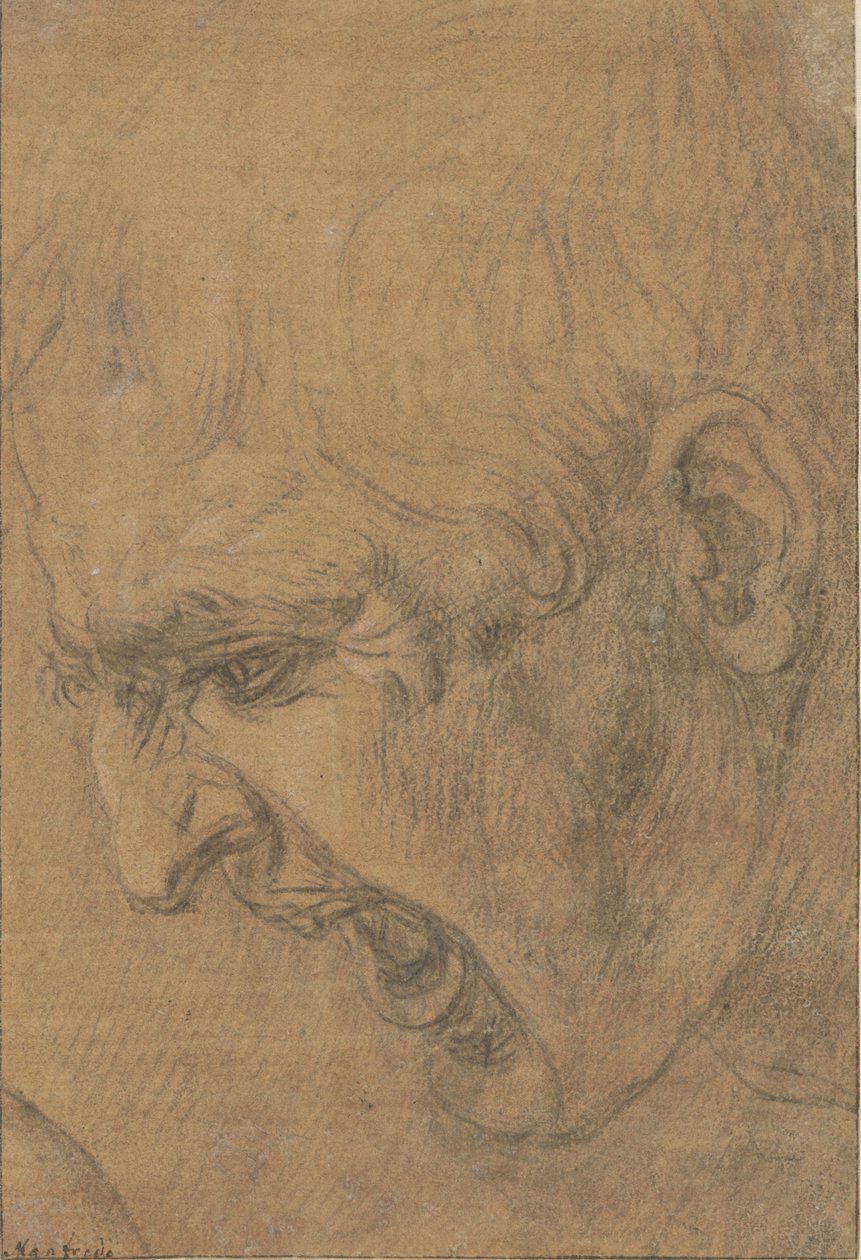 Hlava křičícího muže od Leonardo da (follower of) Vinci