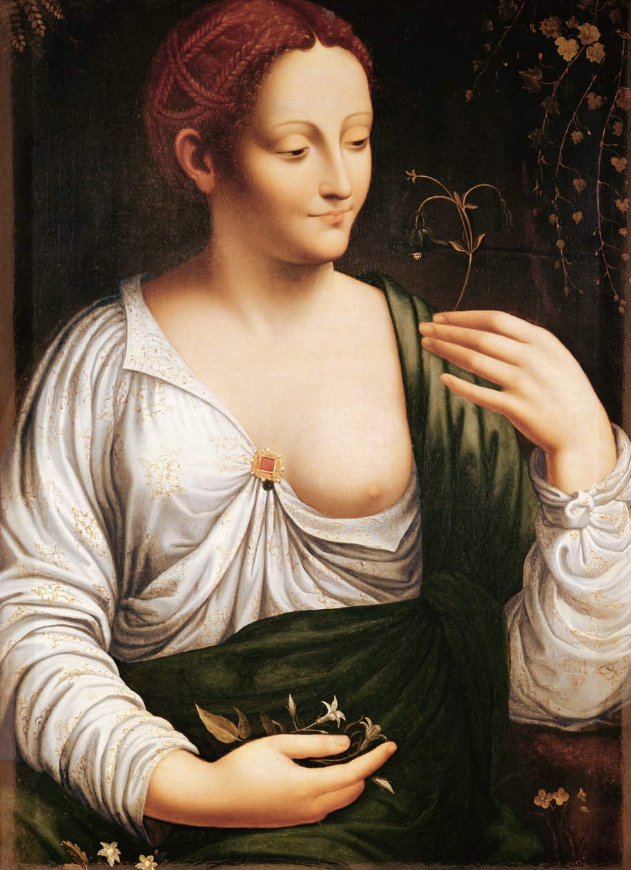  od Leonardo da (school of) Vinci