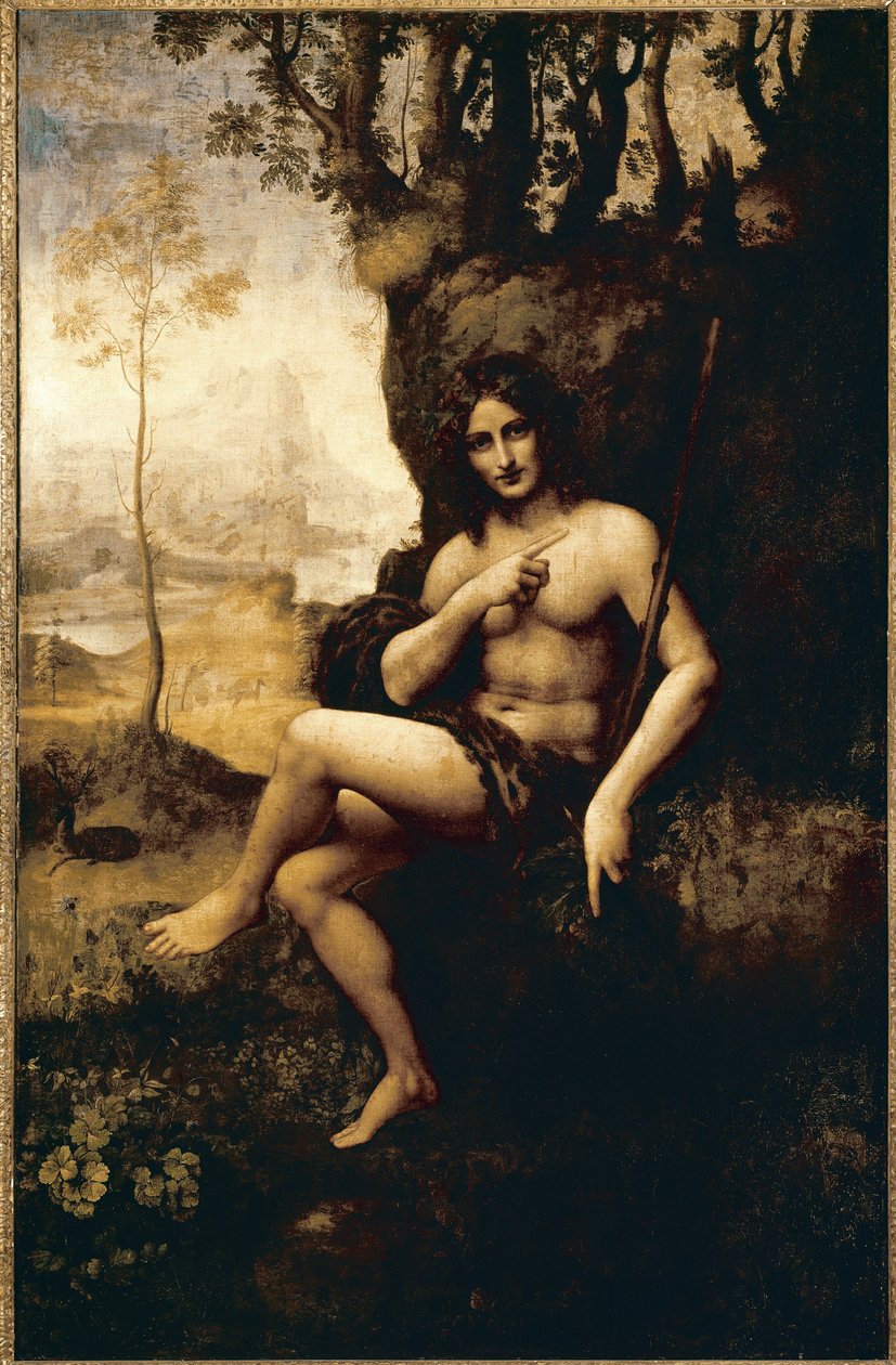 Bacchus (olej transponovaný na plátně od Leonardo da (studio of) Vinci