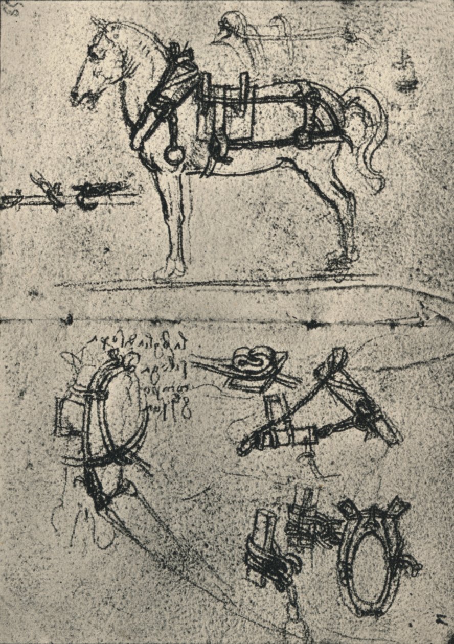 A Harnessed Cart-Horse and Studies of Harness, c1480 1945 od Leonardo da Vinci