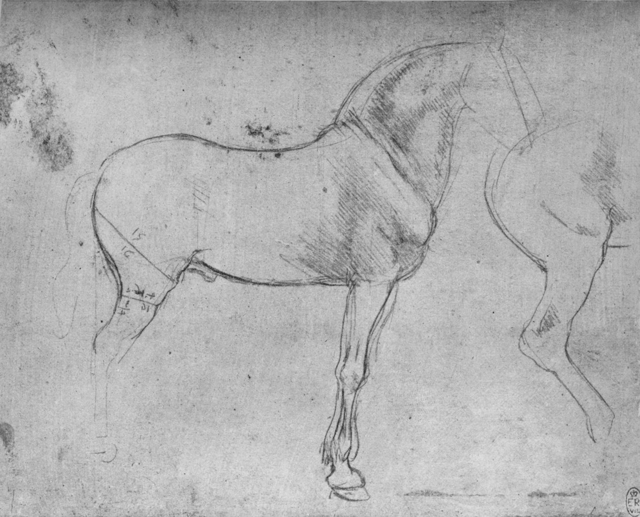 Kůň v profilu vpravo a jeho zadní části, c1480 1945 od Leonardo da Vinci
