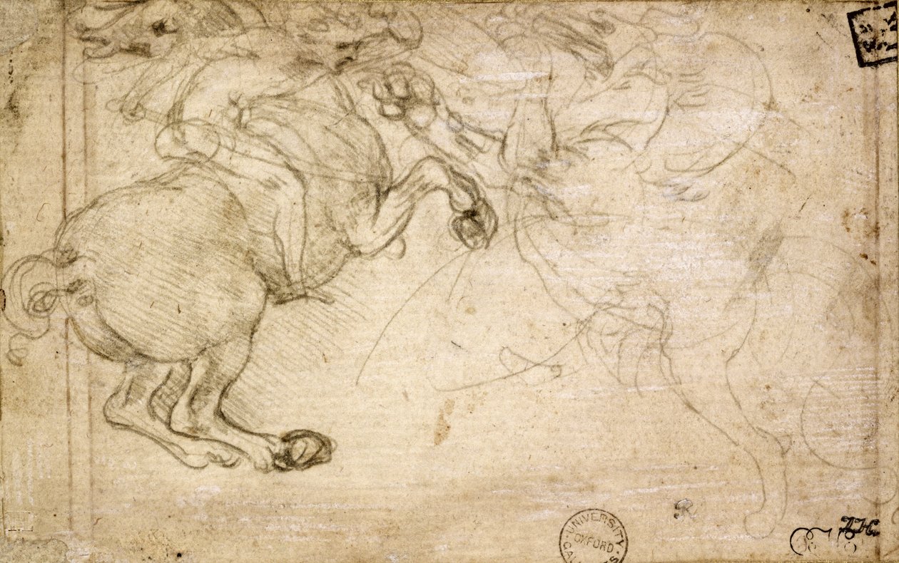 Jezdec v boji s Griffinem, 16. století (stříbrný bod na papíře) od Leonardo da Vinci