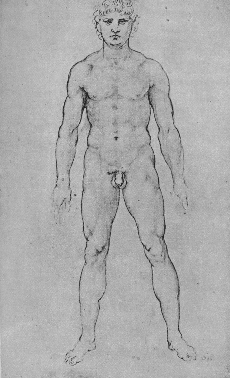 Nahý muž viděný zepředu, c1480 1945 od Leonardo da Vinci
