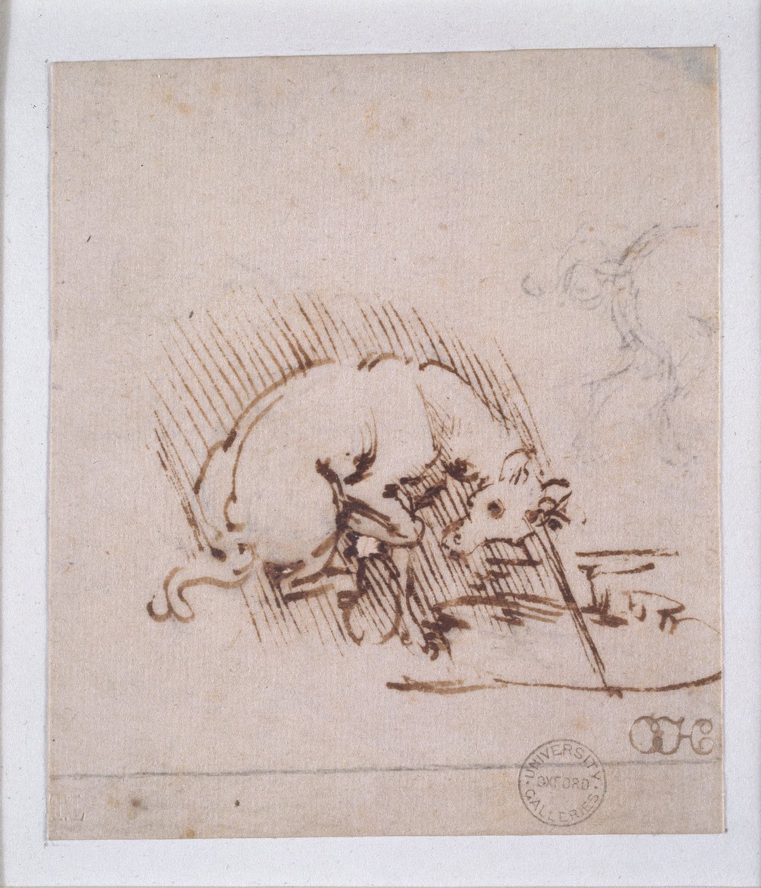 Jednorožec, c1472-1519 od Leonardo da Vinci