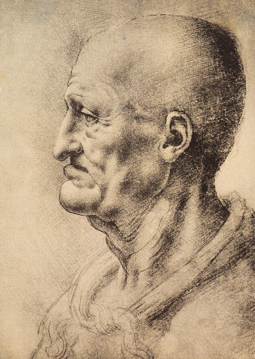 Muž zobrazený z profilu, kresba Leonarda da Vinci, zachovaná v Místnosti kreseb a tisků, Galerie Uffizi, Florencie. od Leonardo da Vinci