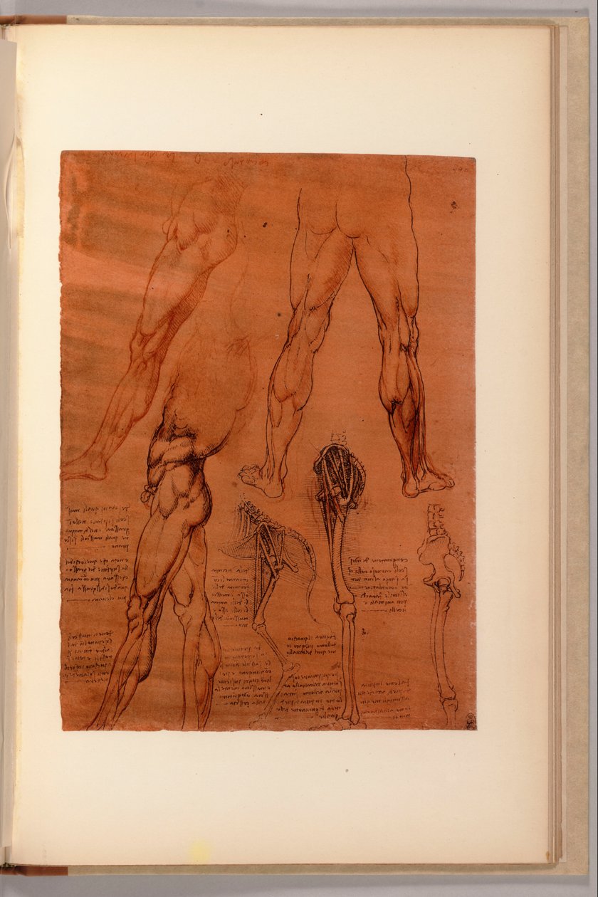 Stránka z "Quaderni d" Anatomy, I-VI, 1911-16 od Leonardo da Vinci