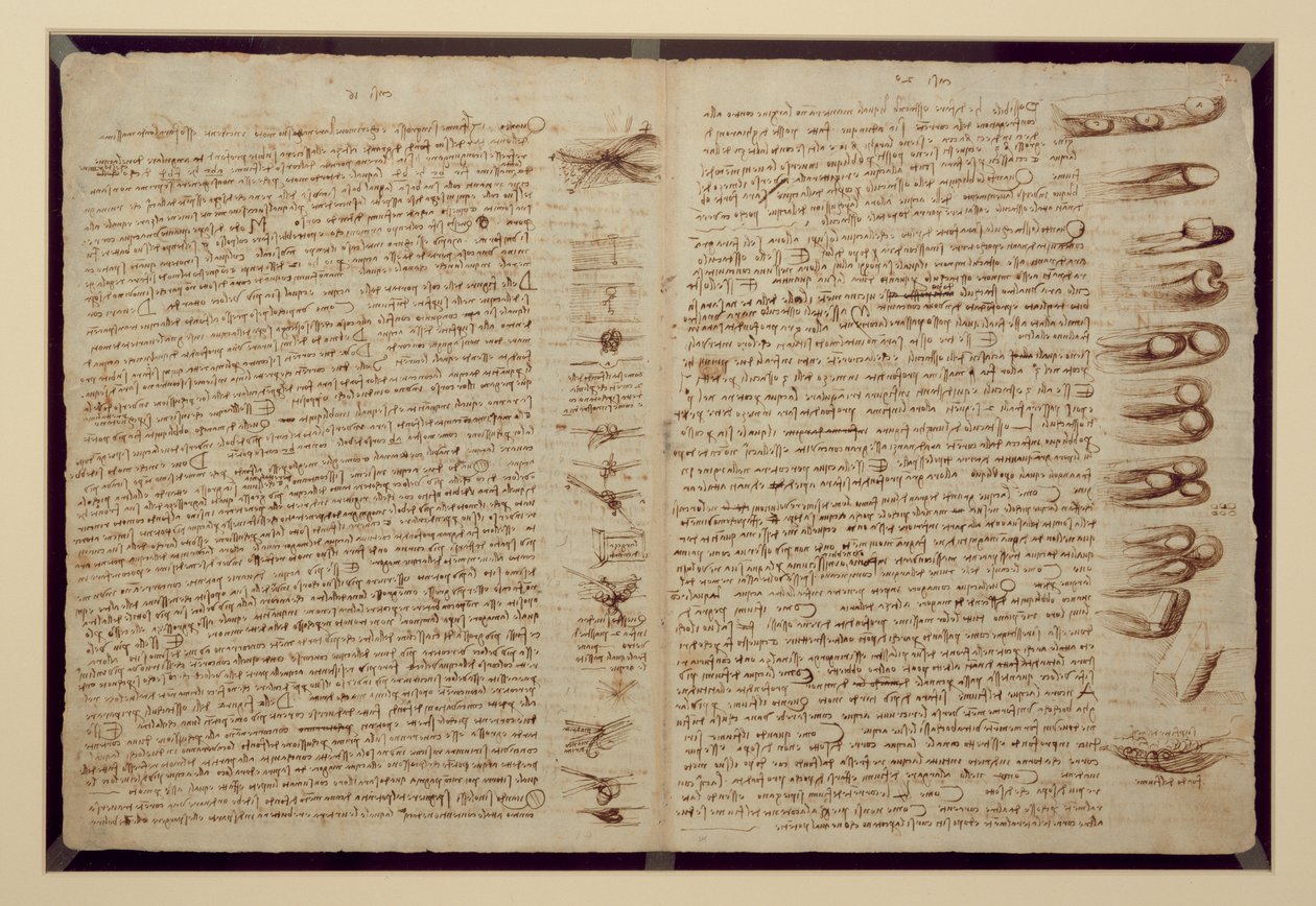 Stránka z Codexu Leicester, 1508-12 (sépiový inkoust na lněném papíře) od Leonardo da Vinci
