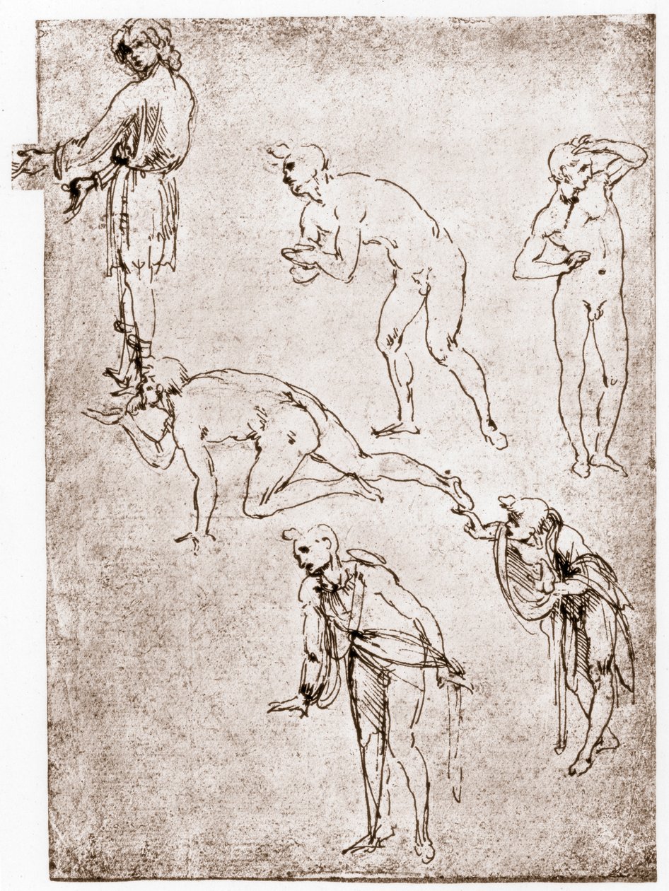 Klanění pastýřů, c1478-1480. od Leonardo da Vinci