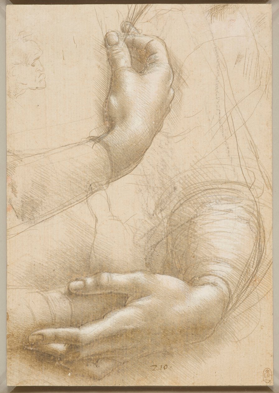 Paže a ženské ruce, c. 1480. od Leonardo da Vinci