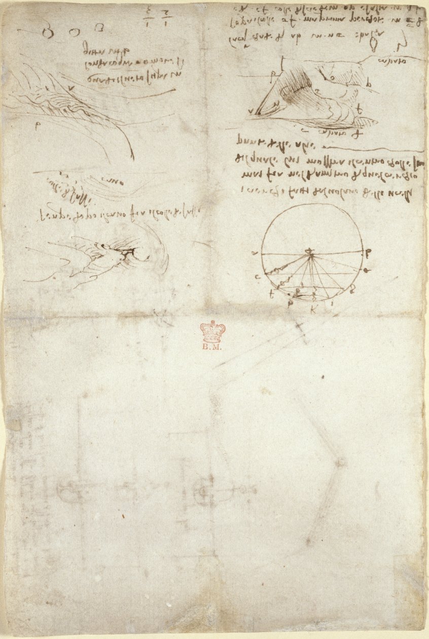 Arundel 263, f.126v Tři poznámky a skici na vodě; diagram letu ptáků, cca 1500-5 (pero a inkoust na papíře) od Leonardo da Vinci