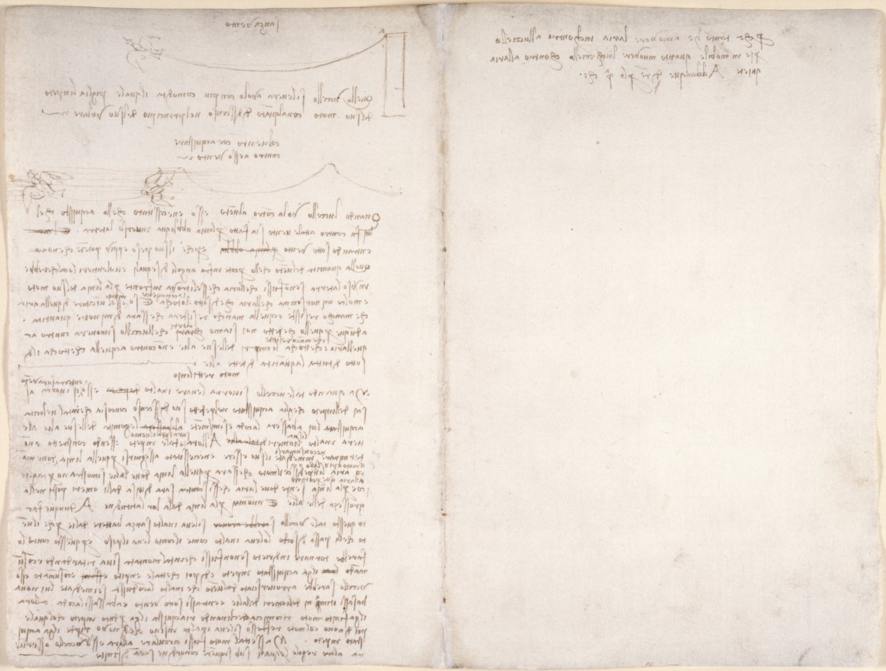 Arundel 263, f.166v, f.163 Poznámky a diagramy o letu ptáků, z 