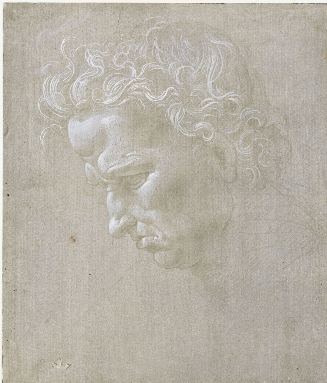 Profilový výraz mužské tváře od Leonardo da Vinci