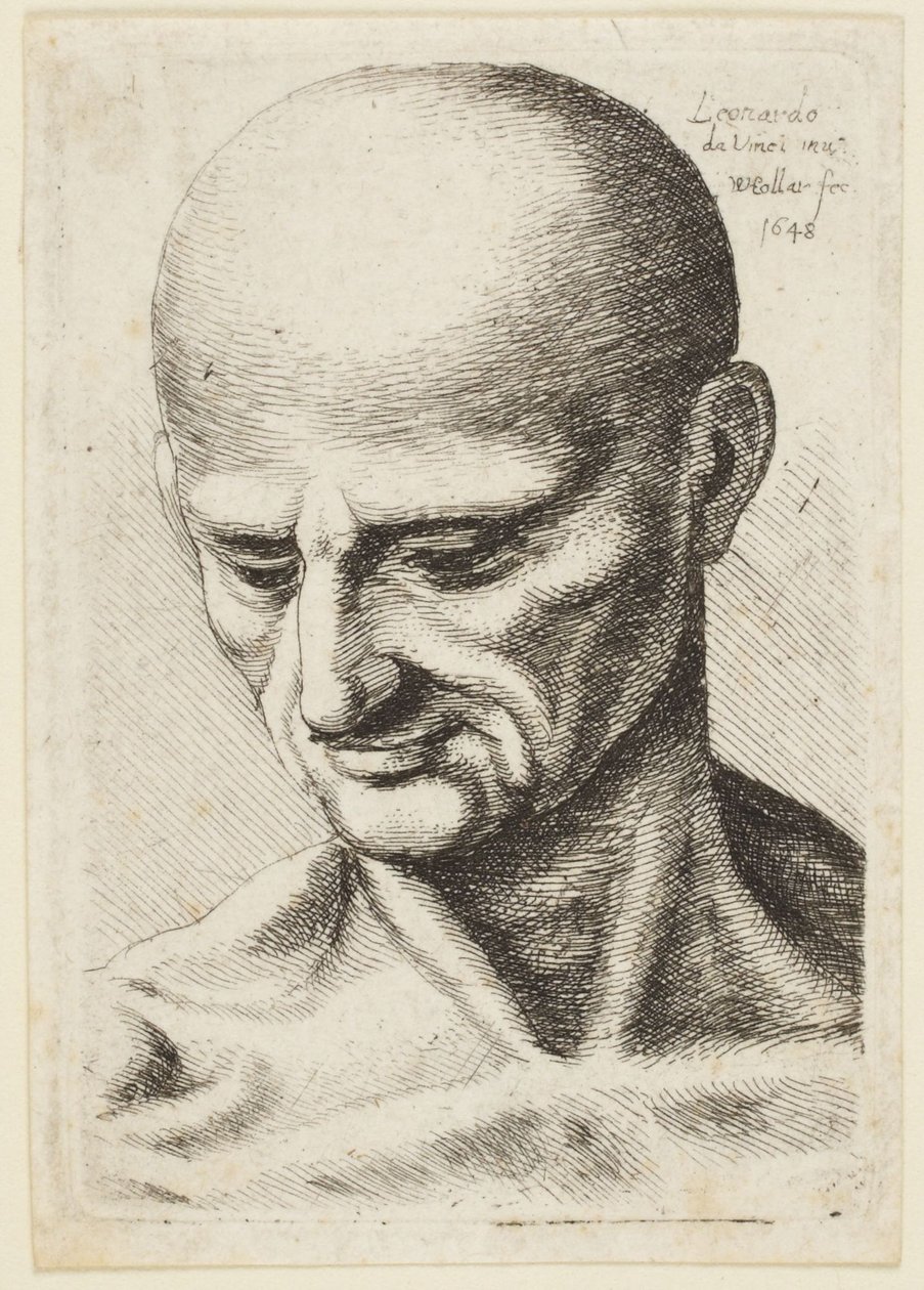 Plešatý muž od Leonardo da Vinci