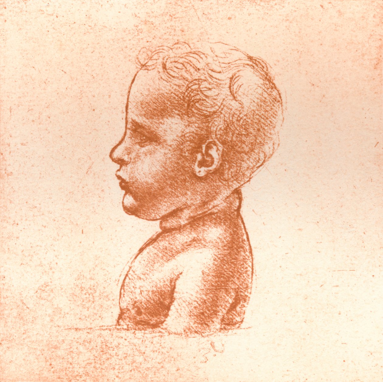 Busta chlapce, c1472-c1519 1883 od Leonardo da Vinci