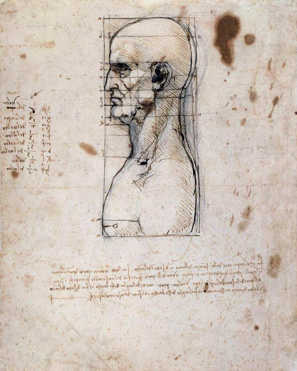 Busta muže z profilu s mírami a poznámkami (sépiový inkoust na lněném papíře) od Leonardo da Vinci