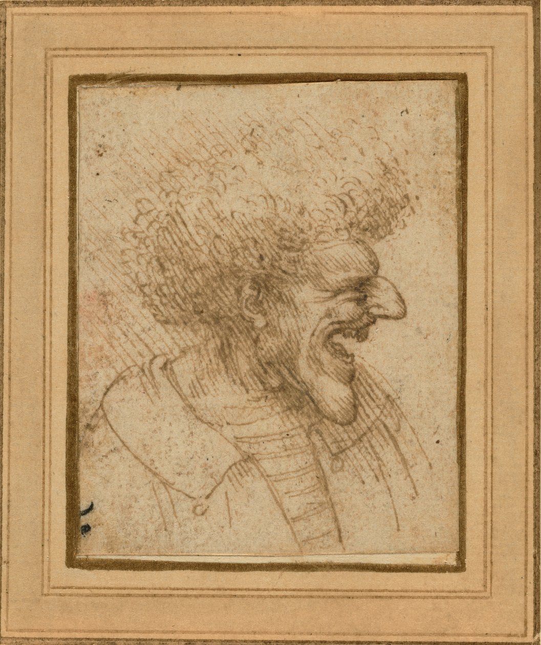 Karikatura muže s hustými vlasy od Leonardo da Vinci