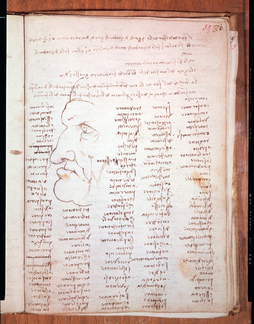 Codex Trivulziano od Leonarda da Vinci (Leonardo da Vinci) (1452 - 1519) - Knihovna Trivulziana, Milán od Leonardo da Vinci