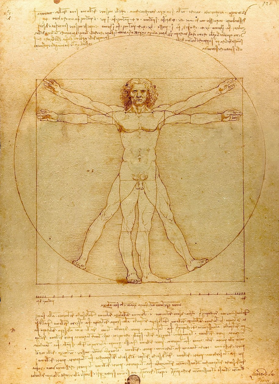 Da Vinci Vitruve Luc Viatour (oříznuto) od Leonardo da Vinci