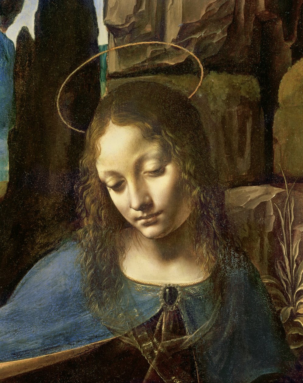 Detail hlavy Panny Marie ze Skalní Panny (Panna se Svatým Janem klanícím se Kristu v doprovodu anděla), kolem 1508 od Leonardo da Vinci