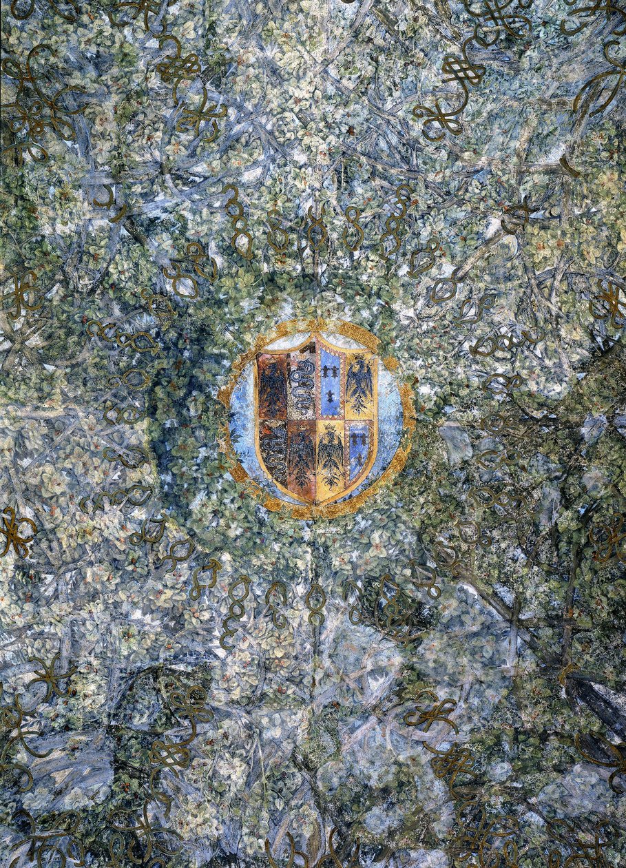 Detail klenutého stropu Sala delle Asse s geometrickým tvarem větvené pergoly, kolem 1498 od Leonardo da Vinci
