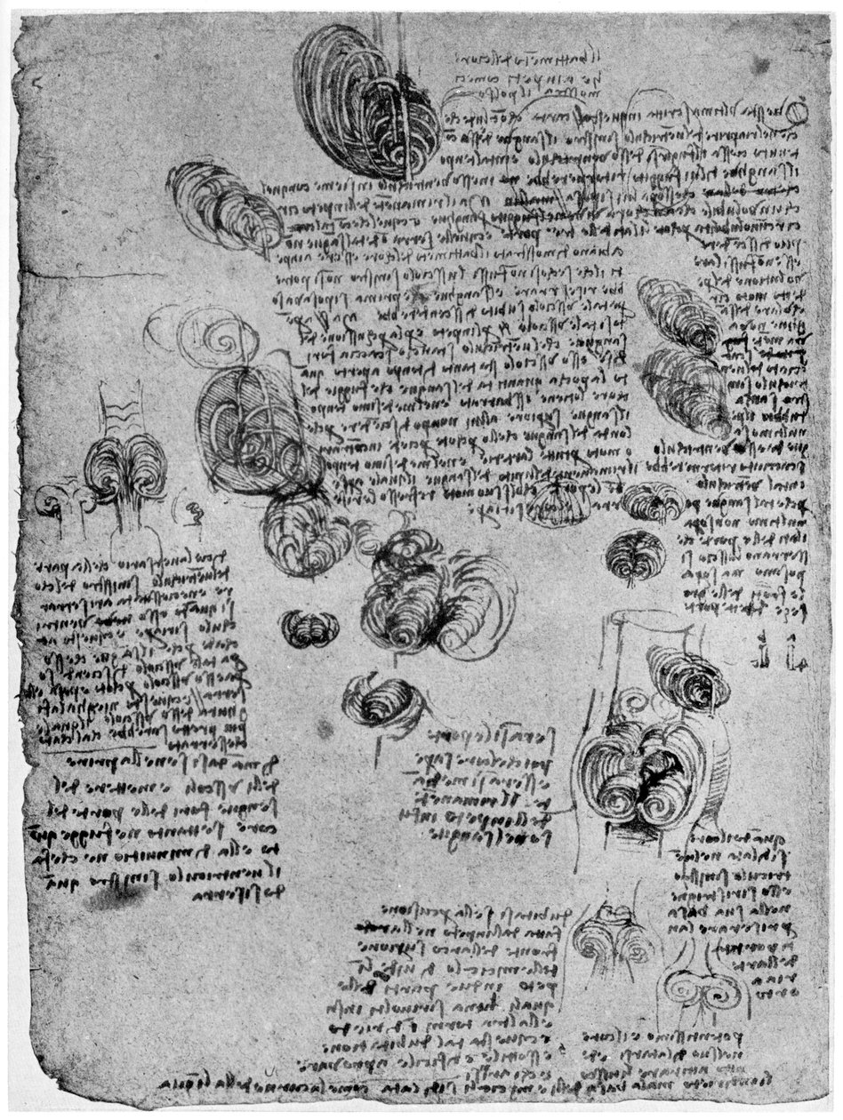 Schéma krevního víru v srdci, konec 15. nebo začátek 16. století 1954 od Leonardo da Vinci