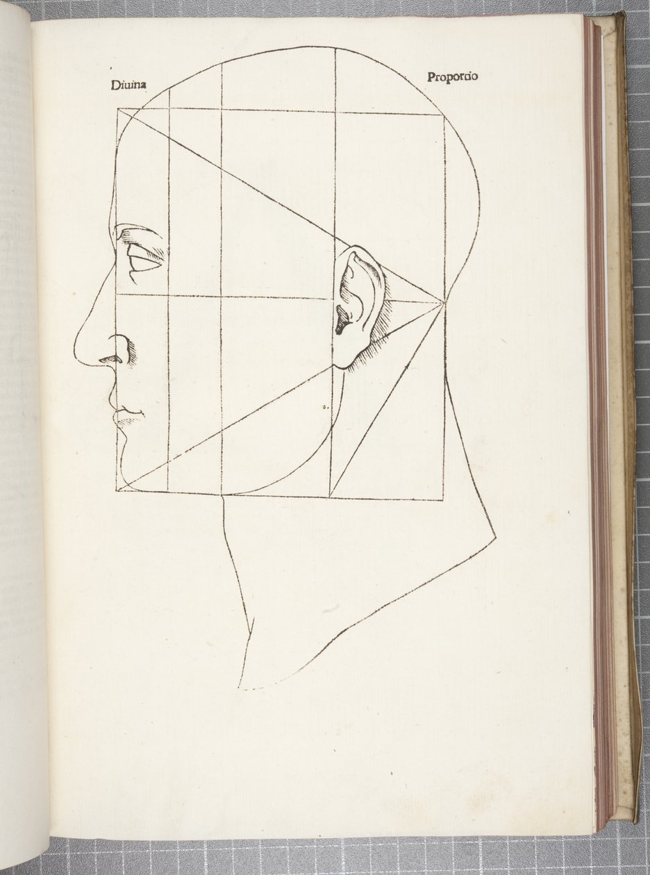 Božská proporce od Leonardo da Vinci