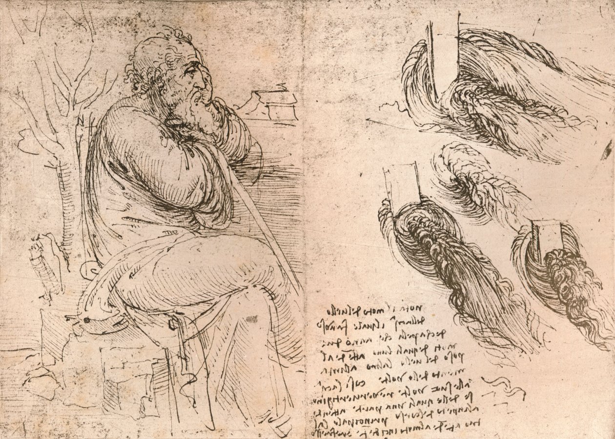 Kresba znázorňující znázornění vlasů padajících do kadeří, c1472-c1519 1883 od Leonardo da Vinci